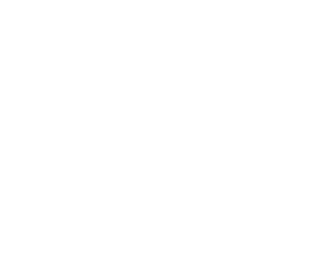 Axion