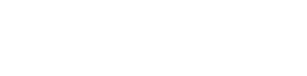 New Oeste Telecom