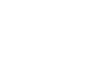 Sferrie